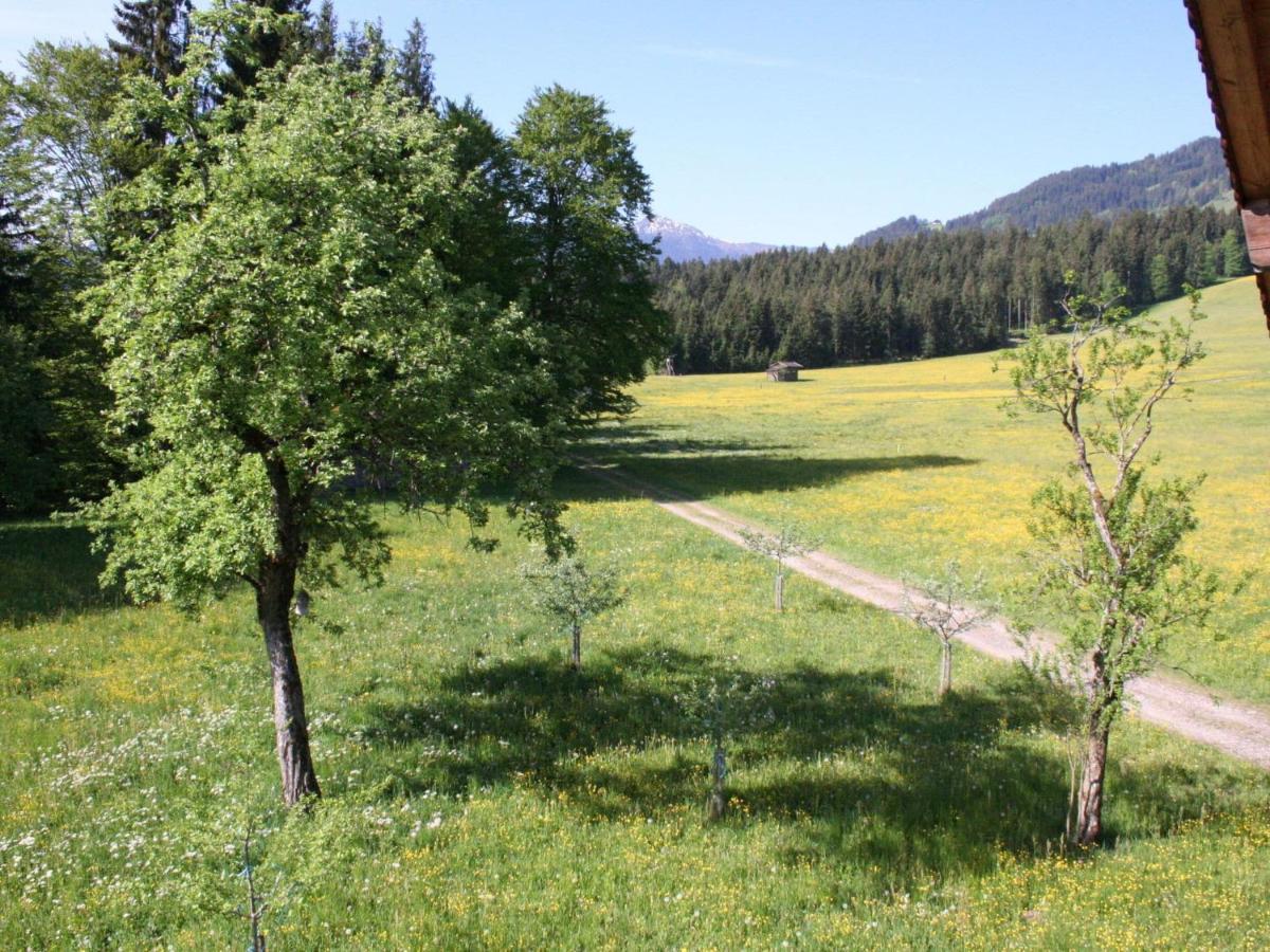 Farmhouse In Hopfgarten In Brixental With Garden Villa Hopfgarten im Brixental Buitenkant foto